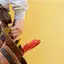 Handyman repair service in Columbus, GA for home fixes and improvements